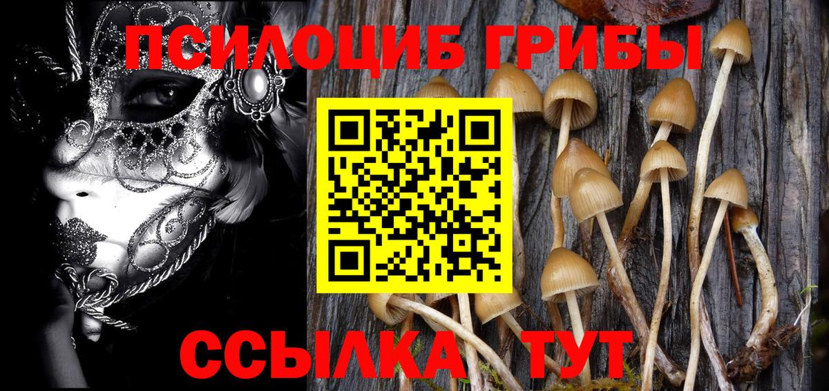 Псилоцибиновые грибы Psilocybe  Солнечногорск  Псилоцибиновые грибы Psilocybine cubensis 