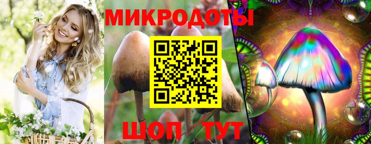Псилоцибиновые грибы MAGIC MUSHROOMS Солнечногорск