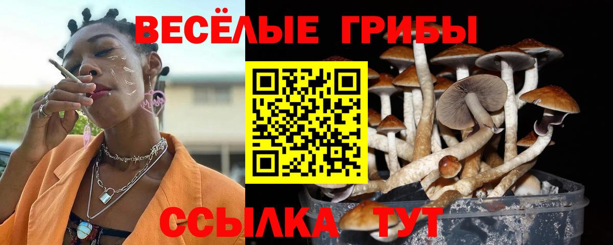 Солнечногорск  Галлюциногенные грибы Magic Shrooms  Вход с VPN 