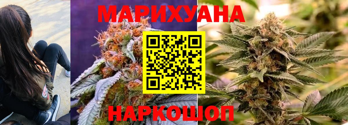 Бошки марихуана семена  МАРИХУАНА OG Kush  Каннабис Bruce Banner  Вход с VPN  Солнечногорск 